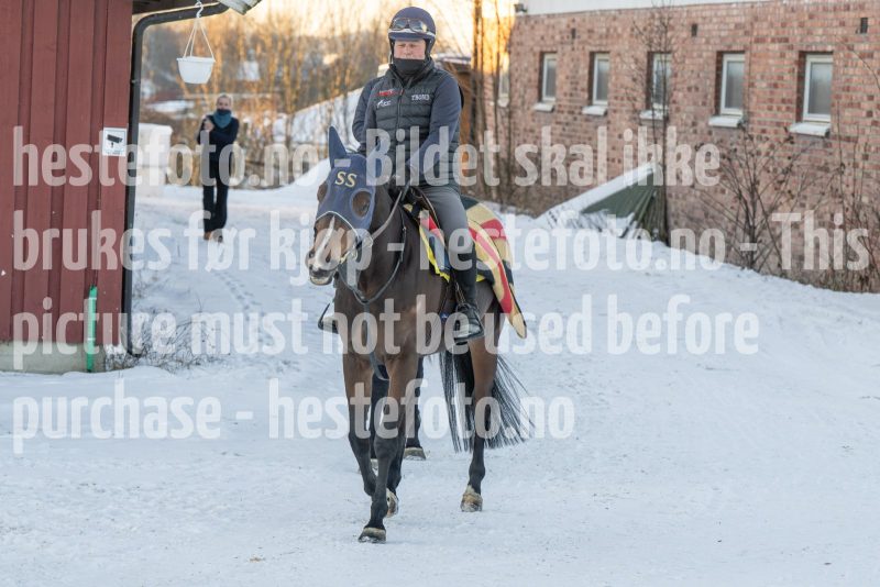 20260110-112853-DSC_8267