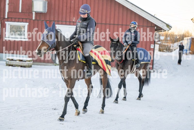 20260110-112859-DSC_8298