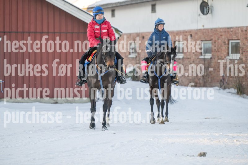 20260110-113014-DSC_8355