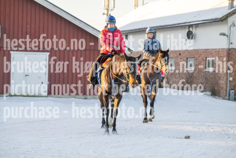 20260110-113018-DSC_8361