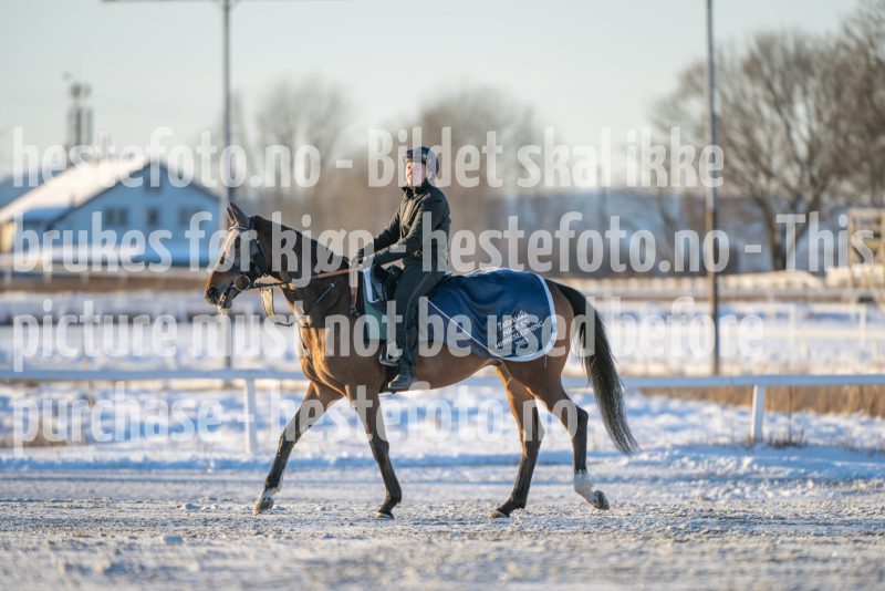 20260110-114021-DSC_8455