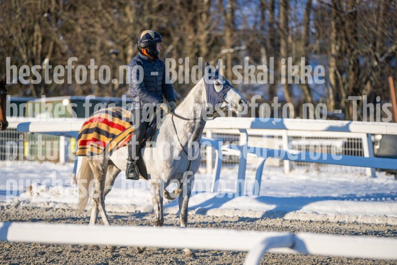 20260110-115326-DSC_8616