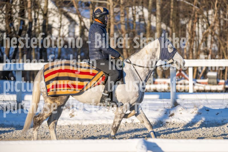 20260110-115345-DSC_8673