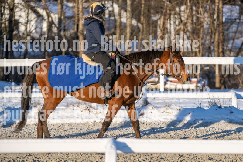 20260110-115349-DSC_8685