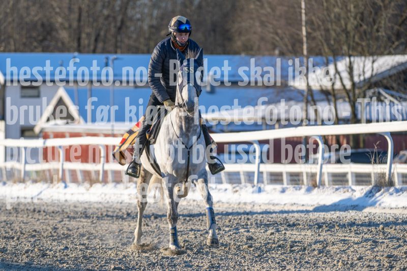 20260110-120043-DSC_8887