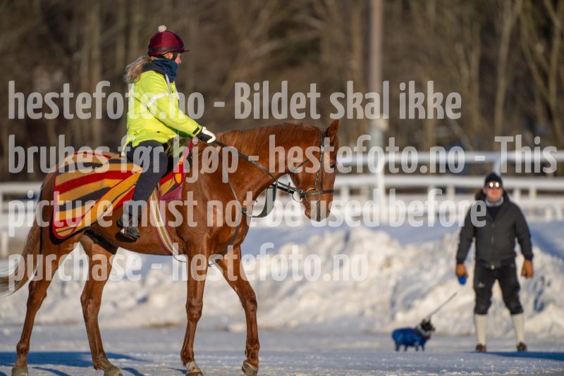 20260110-120241-DSC_8936