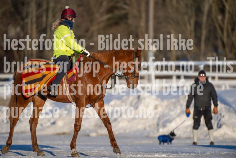 20260110-120241-DSC_8938