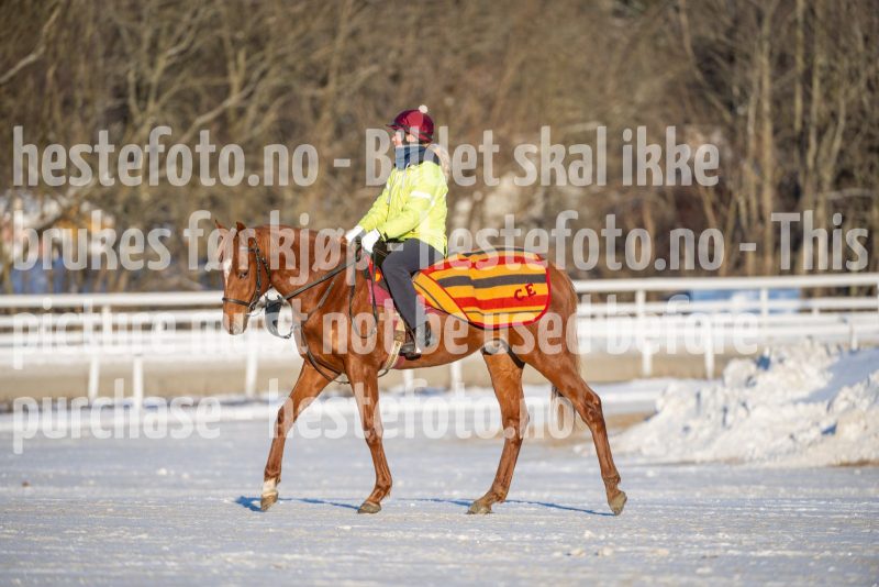 20260110-120253-DSC_8967