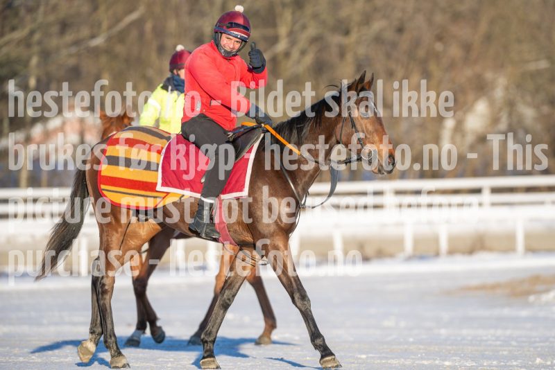 20260110-120255-DSC_8972