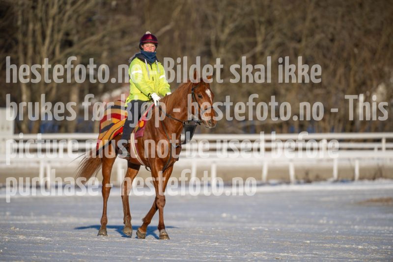 20260110-120259-DSC_8989