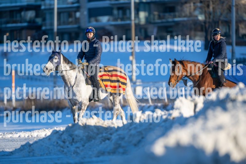20260110-120440-DSC_9232