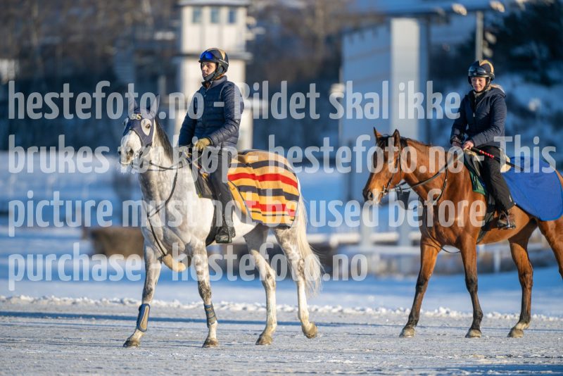 20260110-120448-DSC_9268
