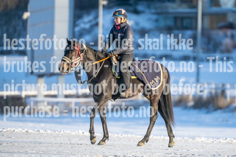 20260110-120451-DSC_9288