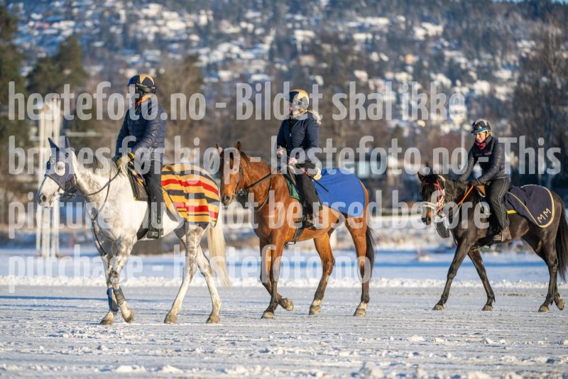 20260110-120500-DSC_9312