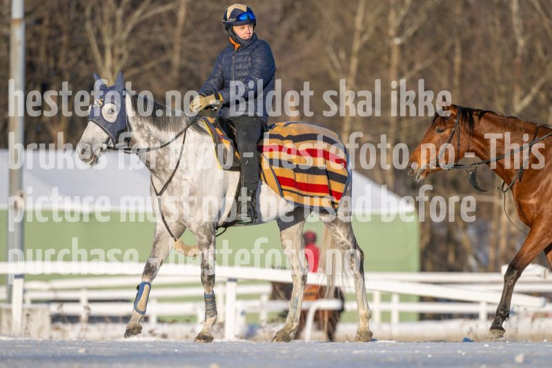 20260110-120537-DSC_9375