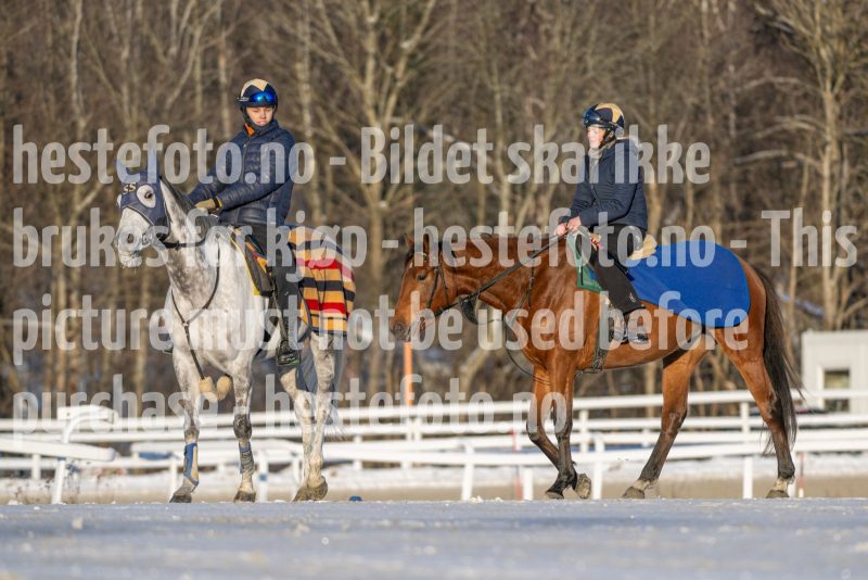 20260110-120620-DSC_9507