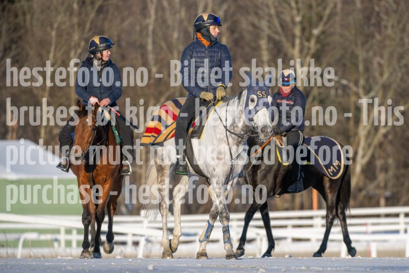 20260110-120625-DSC_9521