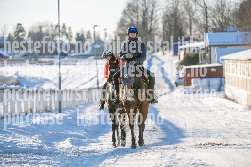 20260110-134101-DSC_9698