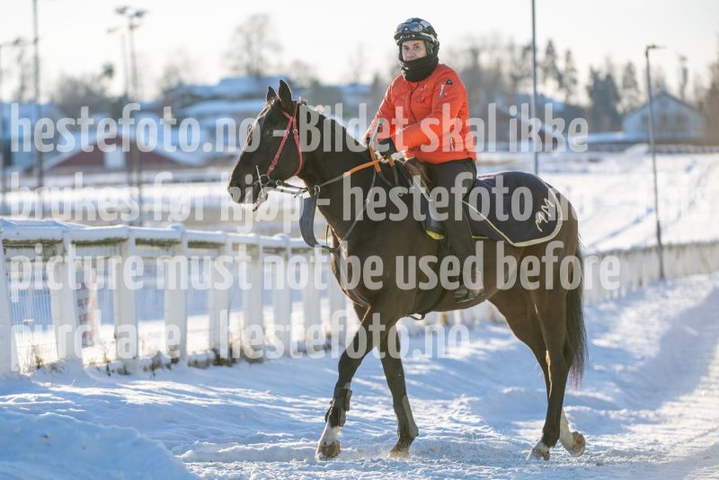 20260110-134108-DSC_9738
