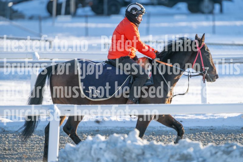 20260110-134443-DSC_9887