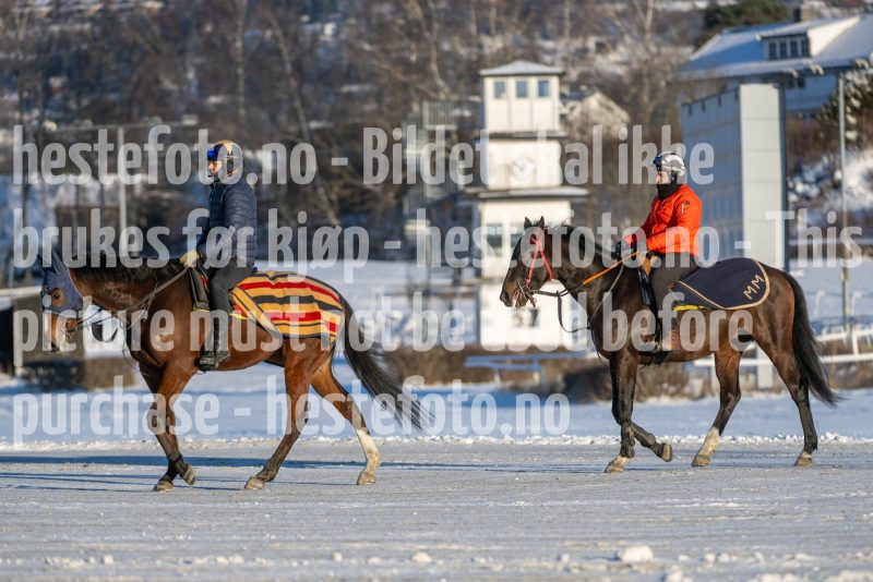 20260110-135056-DSC_0161