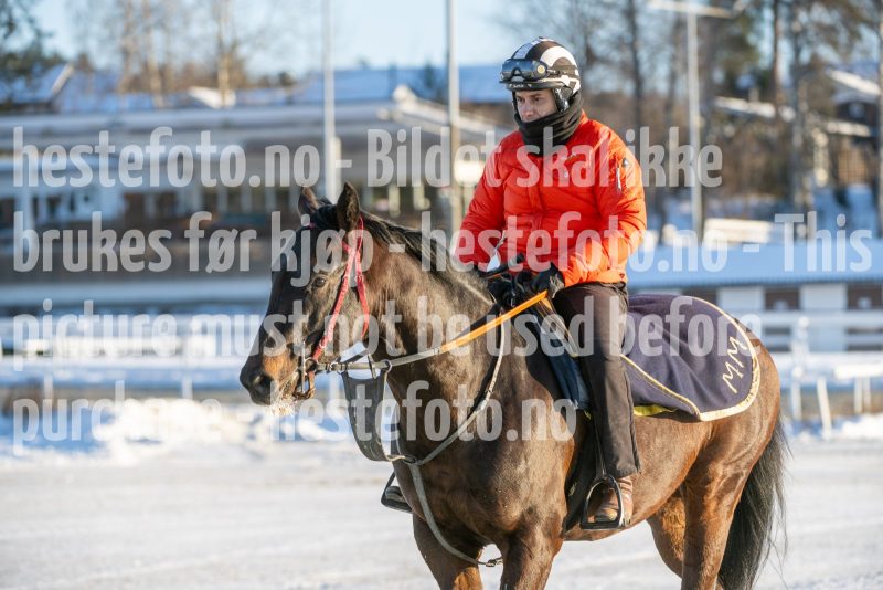 20260110-135339-DSC_0418