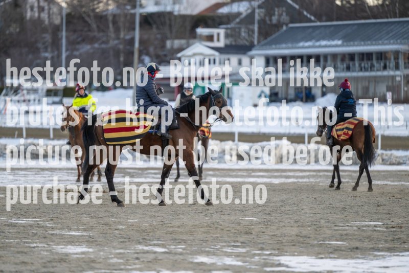 20230311-094317-DSC_7932