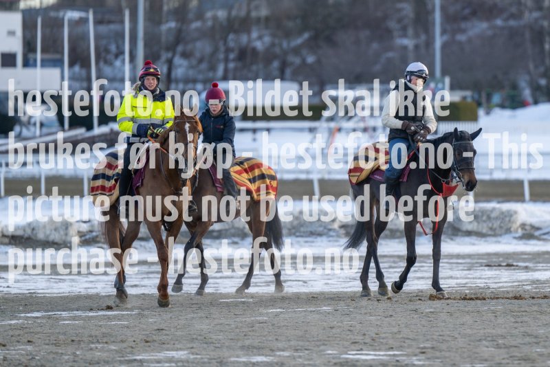 20230311-094326-DSC_7949