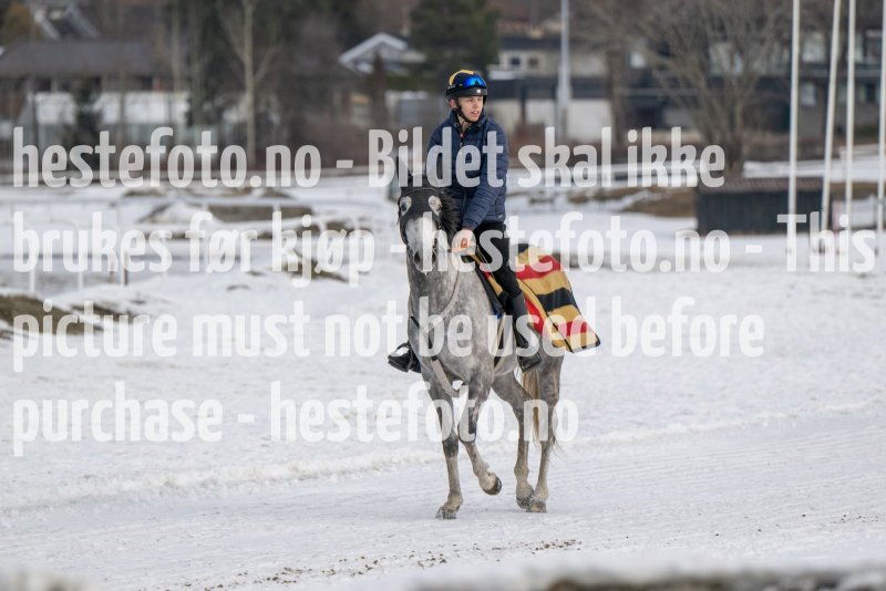 20230311-120046-DSC_8984