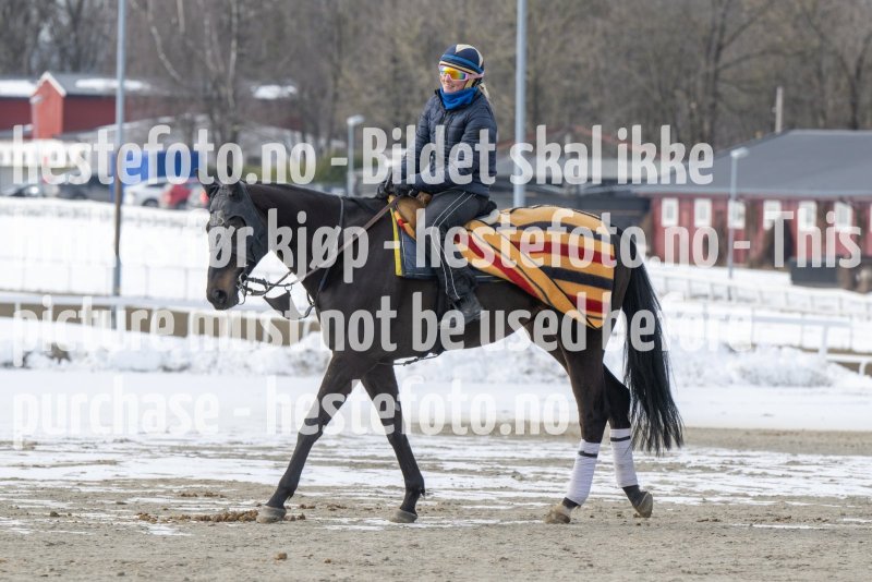 20230311-120516-DSC_9315