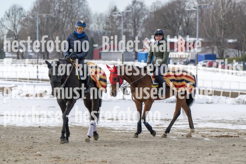 20230311-120522-DSC_9326