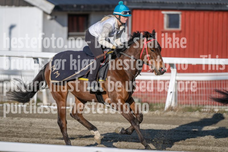 20260411-084359-DSC_0185