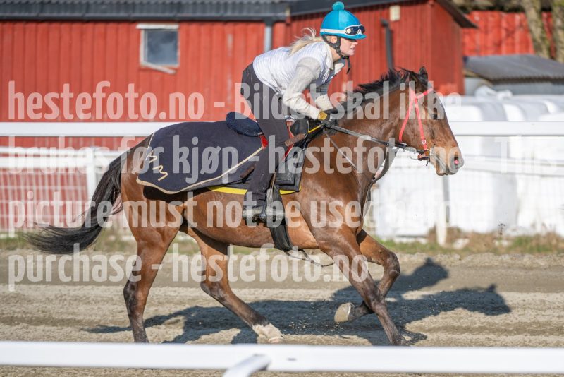 20260411-084400-DSC_0191
