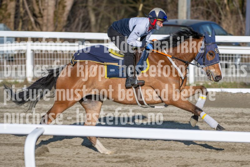 20260411-084623-DSC_0356