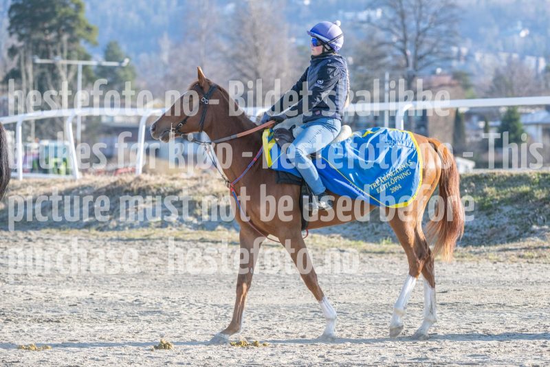 20260411-091654-DSC_0914