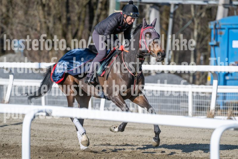 20260411-094451-DSC_2264