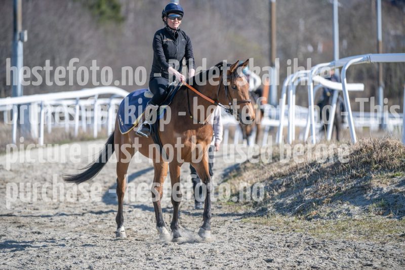 20260411-101824-DSC_2685