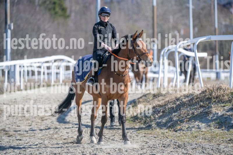 20260411-101825-DSC_2690