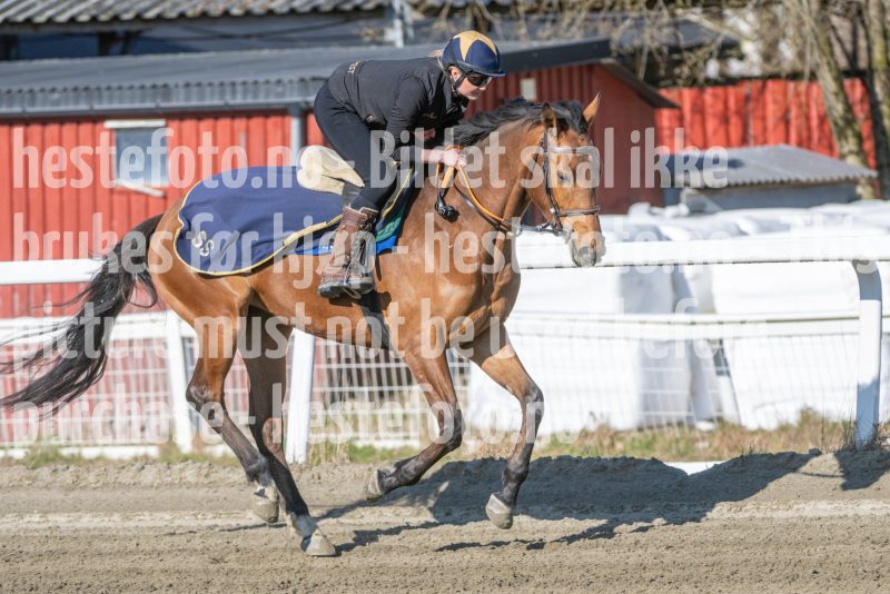 20260411-102124-DSC_3150