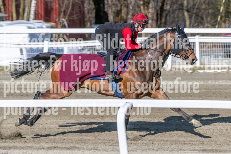 20260411-102228-DSC_3315
