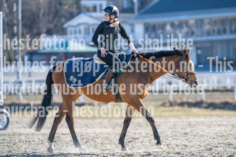 20260411-103120-DSC_4081