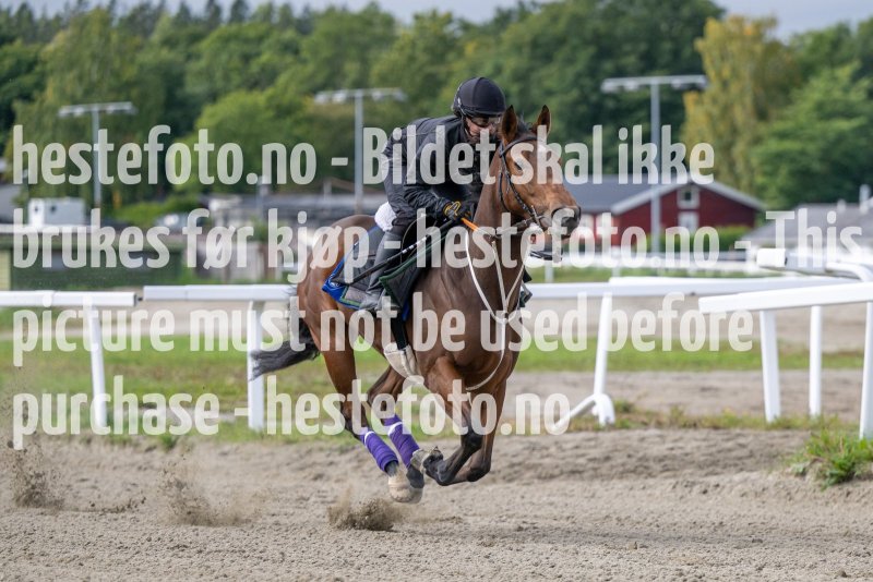 20220911-121002-DSC_8663