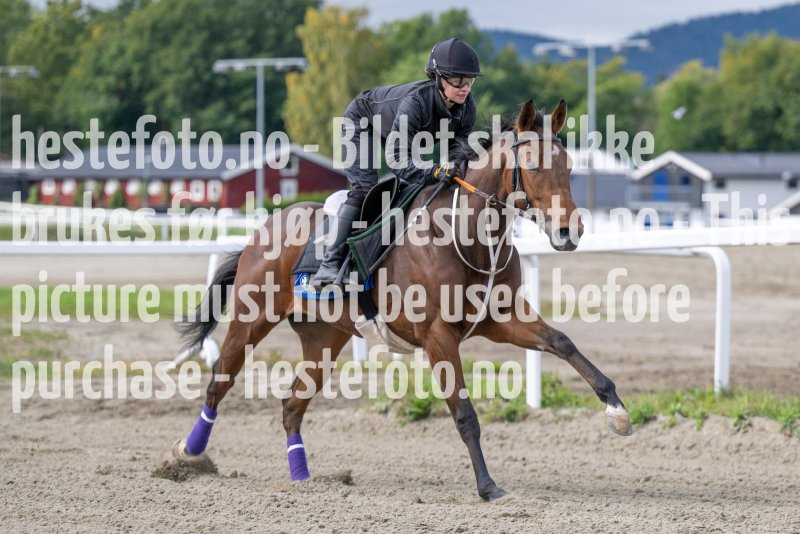 20220911-121002-DSC_8667