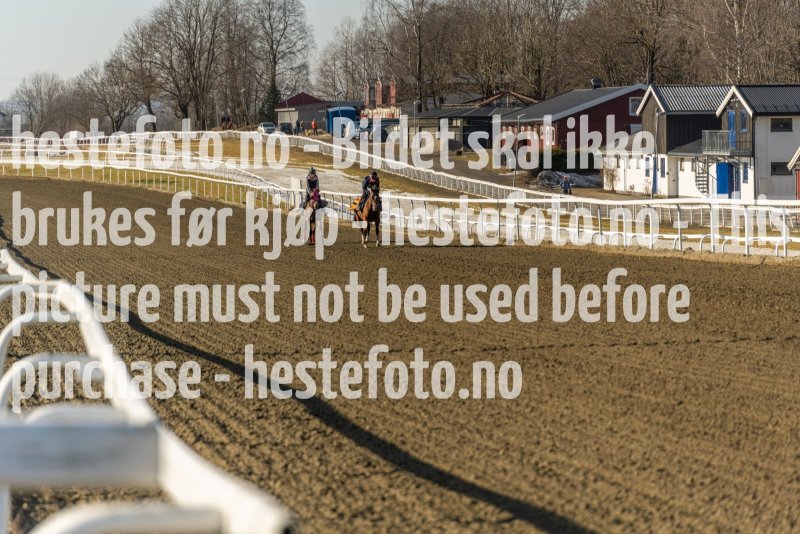 20220312-114149-DSC4364