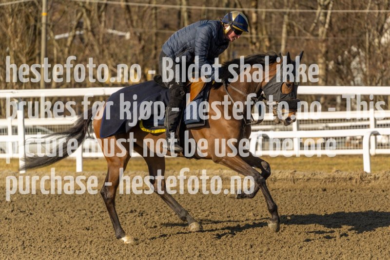 20220312-114313-DSC4392