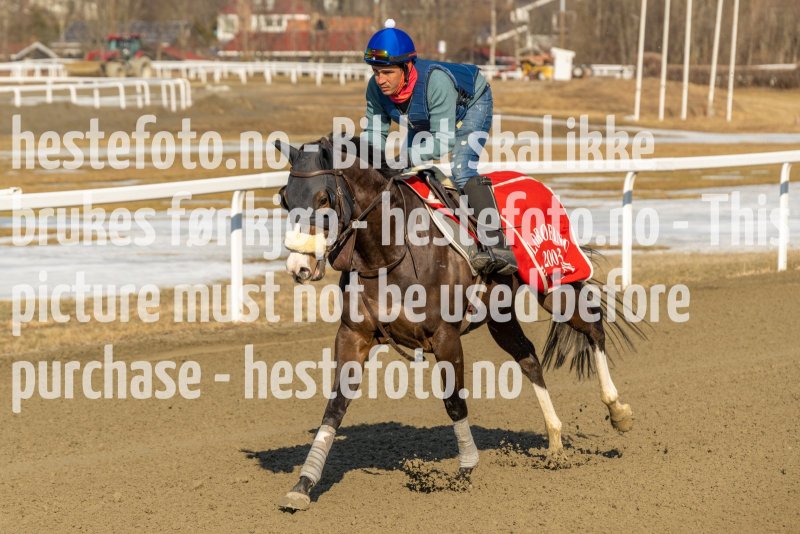 20220312-132336-DSC4601