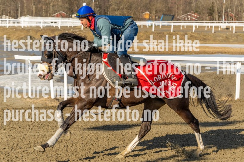 20220312-132338-DSC4613