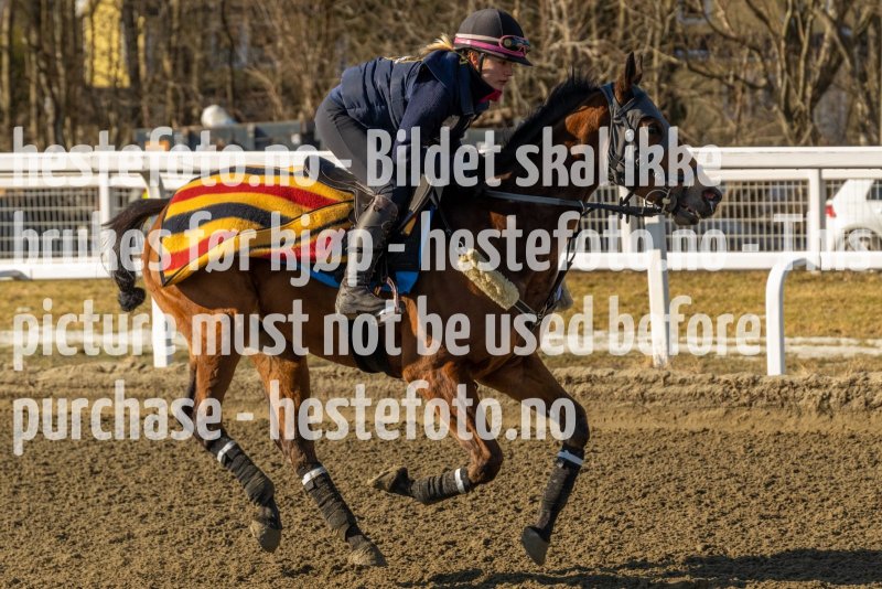 20220312-135313-DSC4806