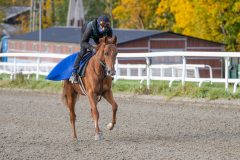 20241012-095530-DSC_3443