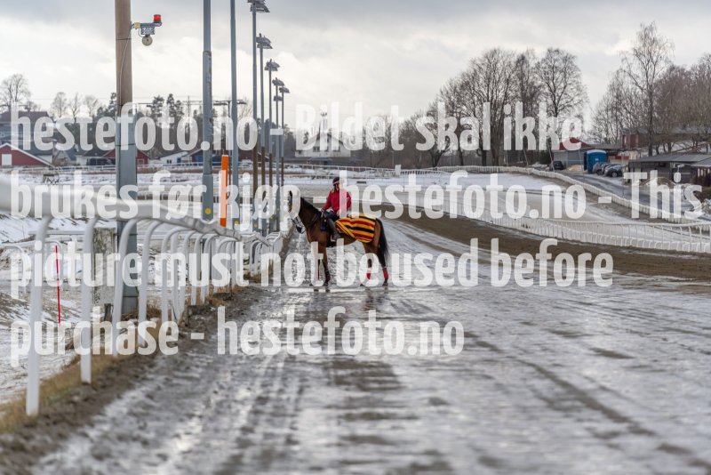 20220213-130127-DSC1996